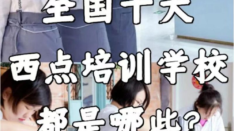 叉车证与挖掘机证：含金量对比解析