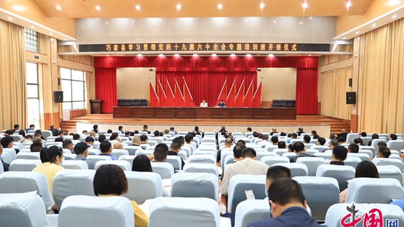 考叉车证流程：职场人士必备技能的获取之路